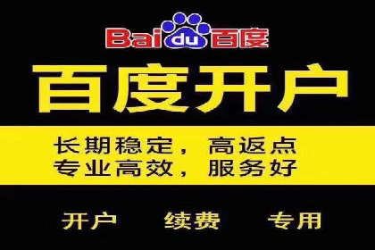 百度SEO推广公司案例汇编：实战优化技巧全解析